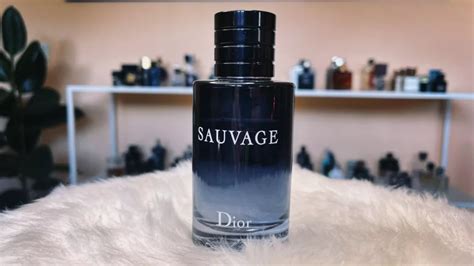 dior sauvage season|sauvage dior reviews.